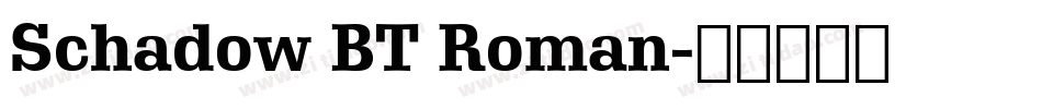 Schadow BT Roman字体转换